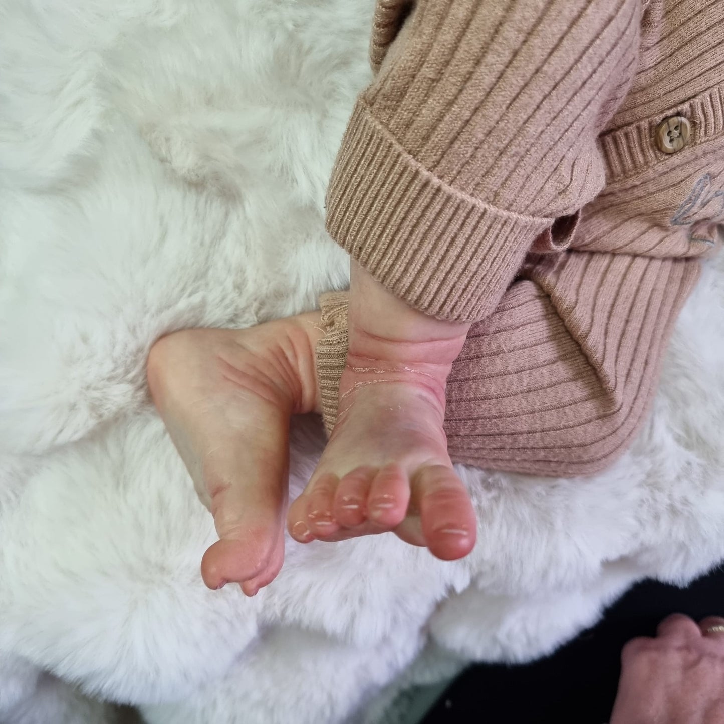 Noa by severine piret