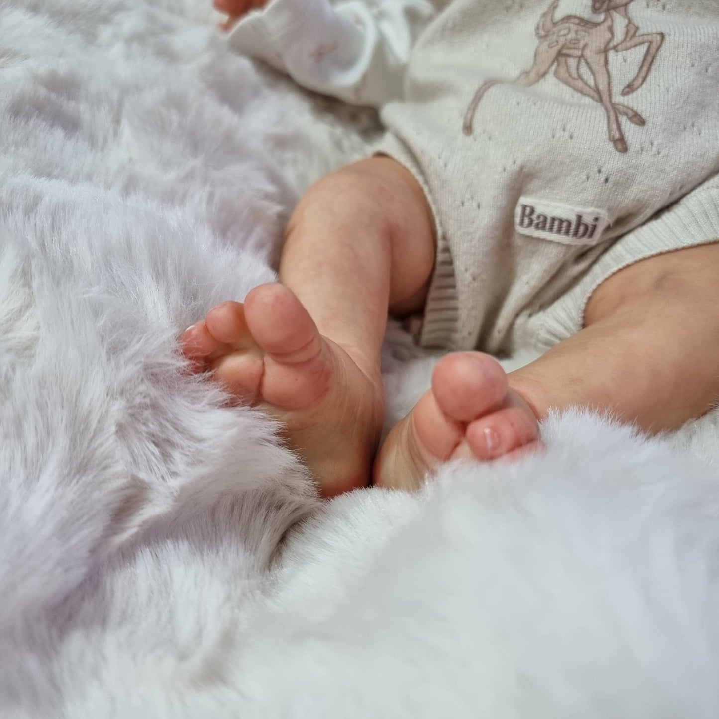 Peeka by Bonnie Brown