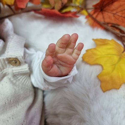 Peeka by Bonnie Brown