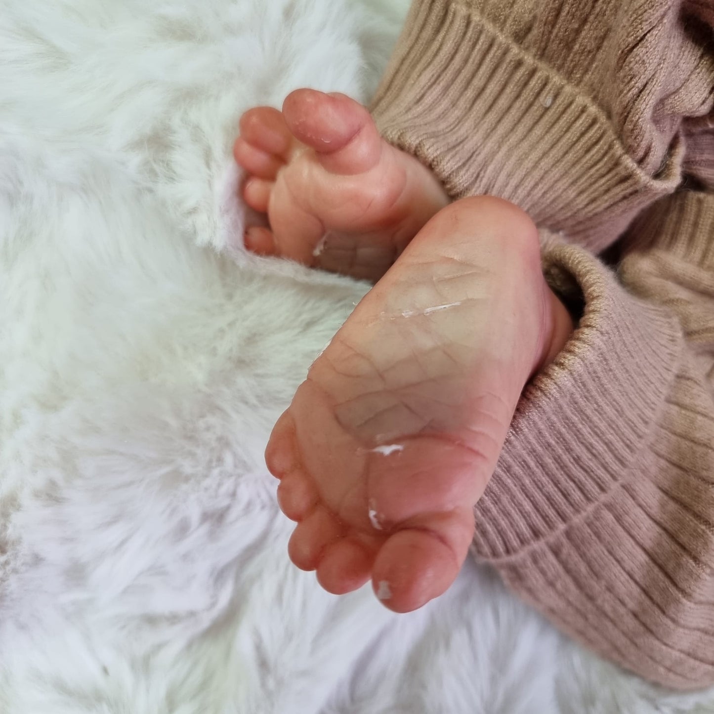 Alessandro by Cassie Love