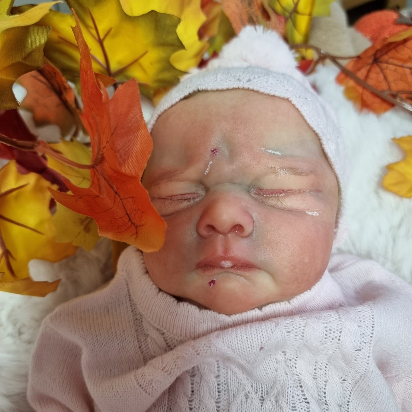 Kori by Doris moyers Hornbogen