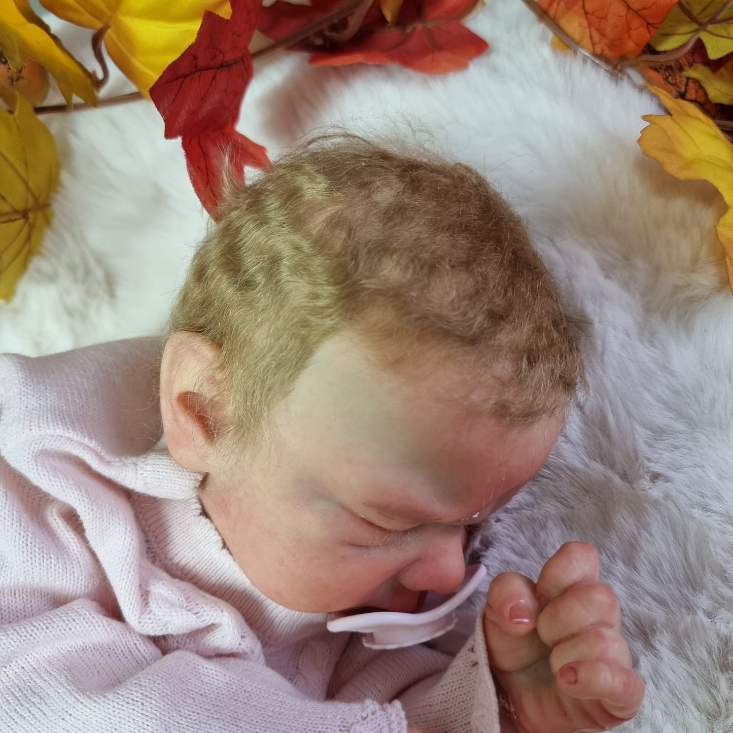 Kori by Doris moyers Hornbogen