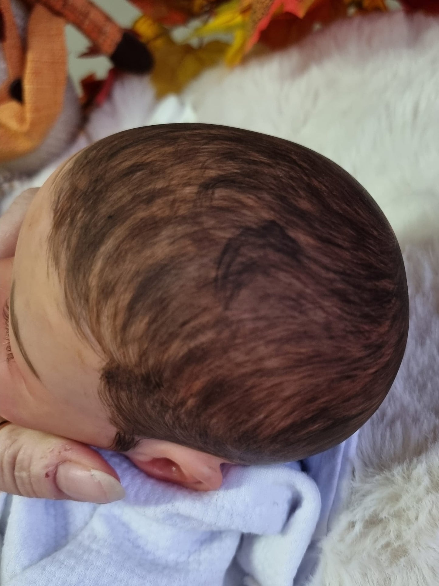 Sebastian by Olga Auer